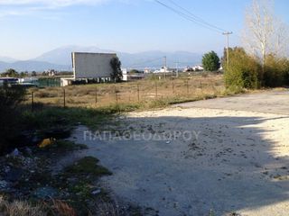 Αγροτεμάχια 7.300 τ.μ. για ενοικίαση, Αχαΐα, Ρίο-thumb-2