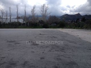 Αγροτεμάχια 7.300 τ.μ. για ενοικίαση, Αχαΐα, Ρίο-thumb-8