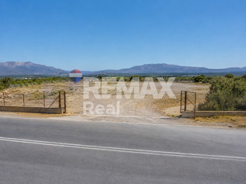 Οικόπεδο 12.000 τ.μ. προς ενοικίαση, Γιοφυράκια