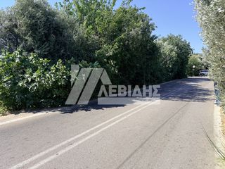 Οικόπεδο 4.404,81 τ.μ. για πώληση, Ν. Χίου, Χίος-thumb-3
