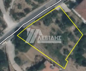 Οικόπεδο 4.404,81 τ.μ. για πώληση, Ν. Χίου, Χίος-thumb-4