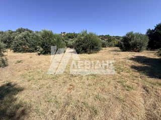 Οικόπεδο 4.404,81 τ.μ. για πώληση, Ν. Χίου, Χίος-thumb-2