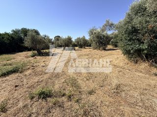 Οικόπεδο 4.404,81 τ.μ. για πώληση, Ν. Χίου, Χίος-thumb-1