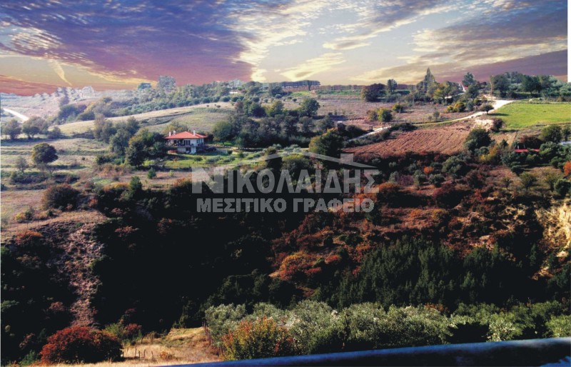Αγροτεμάχια 2.800 τ.μ. πρός πώληση, Ν. Σερρών, Σέρρες