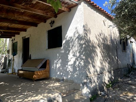 Detached home 3.073 sqm for sale