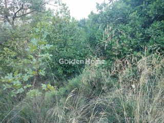 Οικόπεδο 500 τ.μ. για πώληση, Ν. Λασιθίου, Νεάπολη-thumb-4