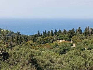 Αγροτεμάχια 4.360 τ.μ. για πώληση