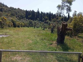 Αγροτεμάχια 4.360 τ.μ. για πώληση, Ν. Λευκάδας, Λευκάδα-thumb-1