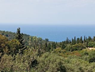 Αγροτεμάχια 4.360 τ.μ. για πώληση, Ν. Λευκάδας, Λευκάδα-thumb-2