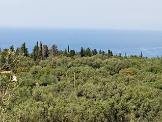 Αγροτεμάχια 4.360 τ.μ. για πώληση, Ν. Λευκάδας, Λευκάδα-thumb-4