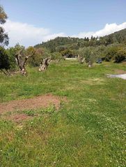 Αγροτεμάχια 4.360 τ.μ. για πώληση, Ν. Λευκάδας, Λευκάδα-thumb-5