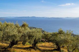 Οικόπεδο 5.366 τ.μ. για πώληση