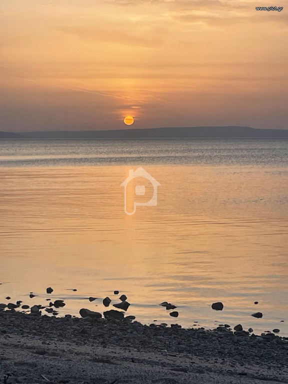 Βίλλα 250 τ.μ. πρός πώληση, Εύβοια, Ανθηδώνος