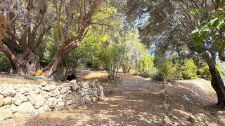 Βίλλα 320 τ.μ. για πώληση, Ν. Ρεθύμνου, Ρέθυμνο-thumb-16