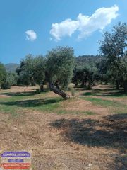 Οικόπεδο 4.450 τ.μ. για πώληση