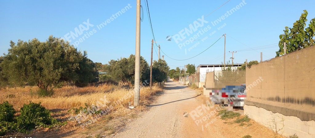 Αγροτεμάχια 709,77 τ.μ. προς πώληση, Πόρτο Ράφτη
