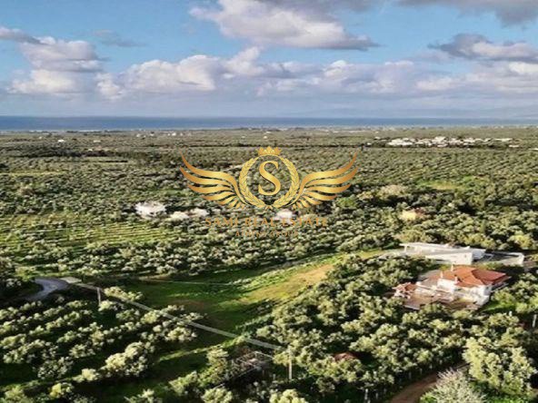 Οικόπεδο 6.411 τ.μ. για πώληση, Μεσσηνία, Φιλιατρά