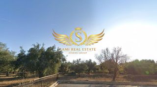 Οικόπεδο 6.411 τ.μ. για πώληση, Μεσσηνία, Φιλιατρά-thumb-4