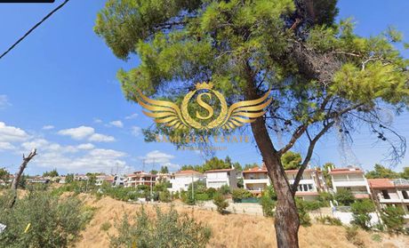 Land plot 3.800 sqm for sale
