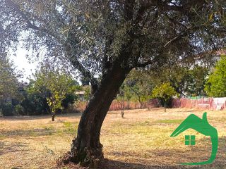 Μονοκατοικία 65 τ.μ. για πώληση, Πέλλα, Αριδαία-thumb-17