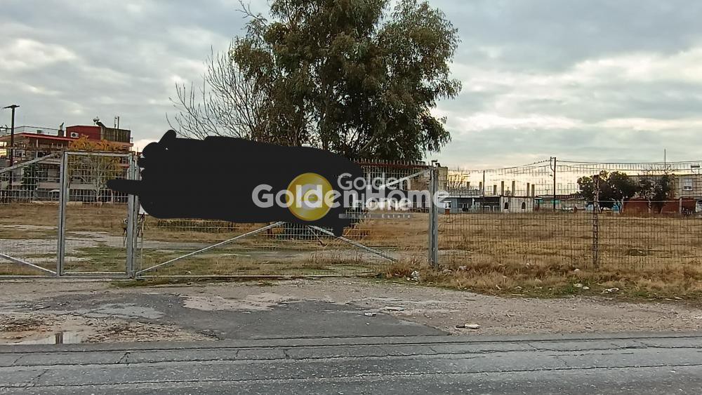 Αγροτεμάχια 10.000 τ.μ. προς πώληση, Δενδροπόταμος