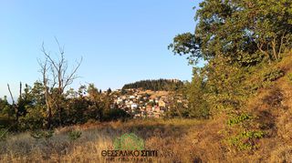 Οικόπεδο 1.600 τ.μ. για πώληση, Ν. Καρδίτσας, Ιθώμης-thumb-1
