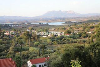 Αγροτεμάχια 3.700 τ.μ. για πώληση, Ν. Ηλείας, Αμαλιάδα-thumb-3