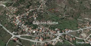 Αγροτεμάχια 3.700 τ.μ. για πώληση, Ν. Ηλείας, Αμαλιάδα-thumb-2