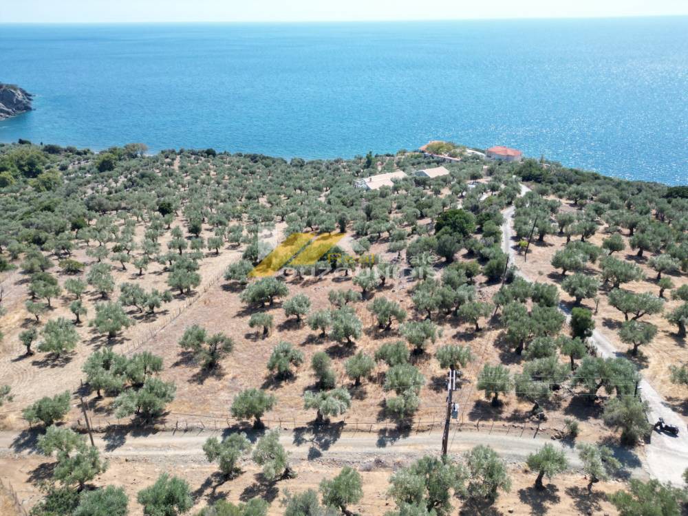 Αγροτεμάχια 6.300 τ.μ. για πώληση, Εβρος, Σαμοθράκη