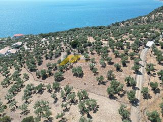 Αγροτεμάχια 6.300 τ.μ. για πώληση, Εβρος, Σαμοθράκη-thumb-1