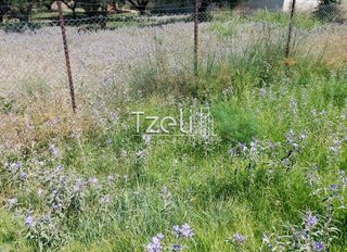 Οικόπεδο 850 τ.μ. για πώληση, Αχαΐα, Ρίο-thumb-1
