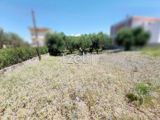 Οικόπεδο 850 τ.μ. για πώληση, Αχαΐα, Ρίο-thumb-6