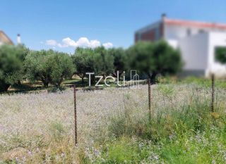 Οικόπεδο 850 τ.μ. για πώληση, Αχαΐα, Ρίο-thumb-10