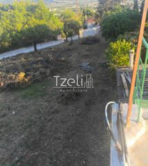 Οικόπεδο 1.700 τ.μ. για ενοικίαση, Αχαΐα, Πάτρα-thumb-2