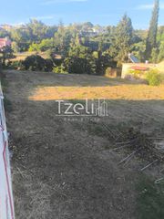 Οικόπεδο 1.700 τ.μ. για ενοικίαση