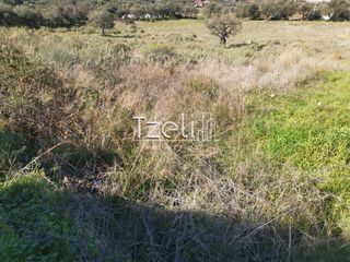 Οικόπεδο 1.145 τ.μ. για πώληση