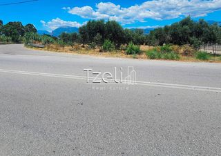 Οικόπεδο 4.300 τ.μ. για ενοικίαση, Αχαΐα, Ρίο-thumb-10