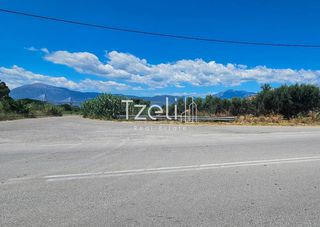 Οικόπεδο 4.300 τ.μ. για ενοικίαση, Αχαΐα, Ρίο-thumb-14