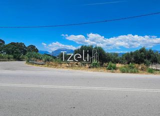 Οικόπεδο 4.300 τ.μ. για ενοικίαση, Αχαΐα, Ρίο-thumb-1