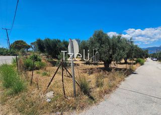 Οικόπεδο 4.300 τ.μ. για ενοικίαση, Αχαΐα, Ρίο-thumb-23