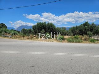 Οικόπεδο 4.300 τ.μ. για ενοικίαση, Αχαΐα, Ρίο-thumb-8