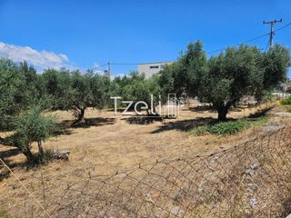 Οικόπεδο 4.300 τ.μ. για ενοικίαση, Αχαΐα, Ρίο-thumb-2