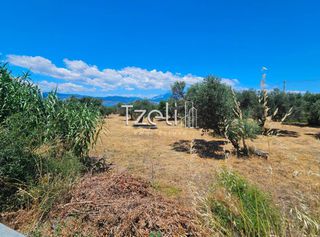 Οικόπεδο 4.300 τ.μ. για ενοικίαση, Αχαΐα, Ρίο-thumb-5