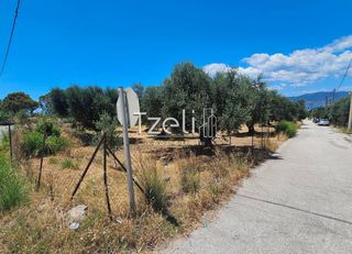 Οικόπεδο 4.300 τ.μ. για ενοικίαση, Αχαΐα, Ρίο-thumb-22