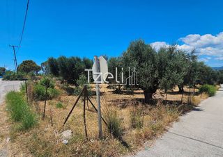 Οικόπεδο 4.300 τ.μ. για ενοικίαση, Αχαΐα, Ρίο-thumb-16