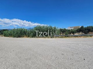 Οικόπεδο 4.300 τ.μ. για ενοικίαση, Αχαΐα, Ρίο-thumb-19