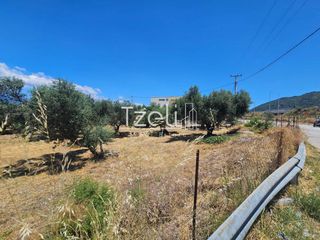 Οικόπεδο 4.300 τ.μ. για ενοικίαση, Αχαΐα, Ρίο-thumb-11