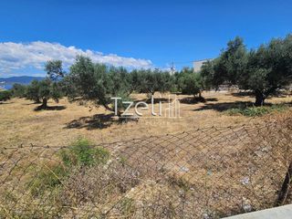 Οικόπεδο 4.300 τ.μ. για ενοικίαση, Αχαΐα, Ρίο-thumb-9
