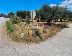 Οικόπεδο 4.300 τ.μ. για ενοικίαση, Αχαΐα, Ρίο-thumb-21