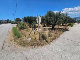 Οικόπεδο 4.300 τ.μ. για ενοικίαση, Αχαΐα, Ρίο-thumb-7